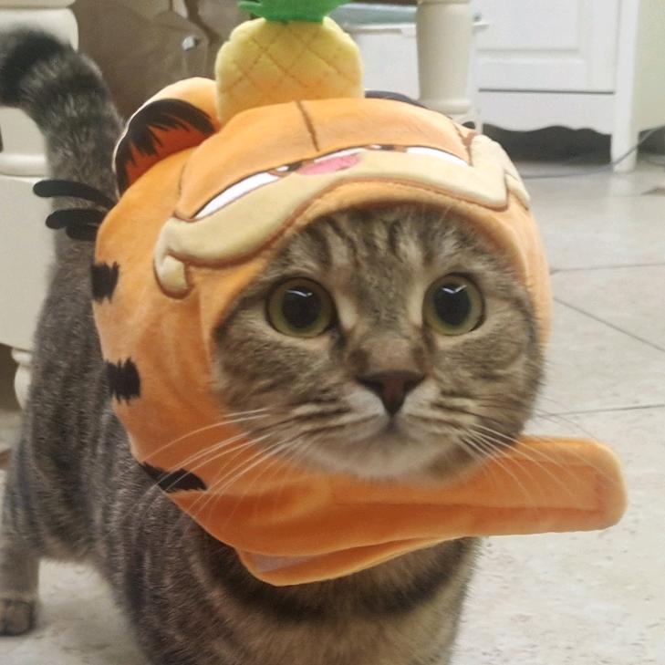 天明（月圆主播）