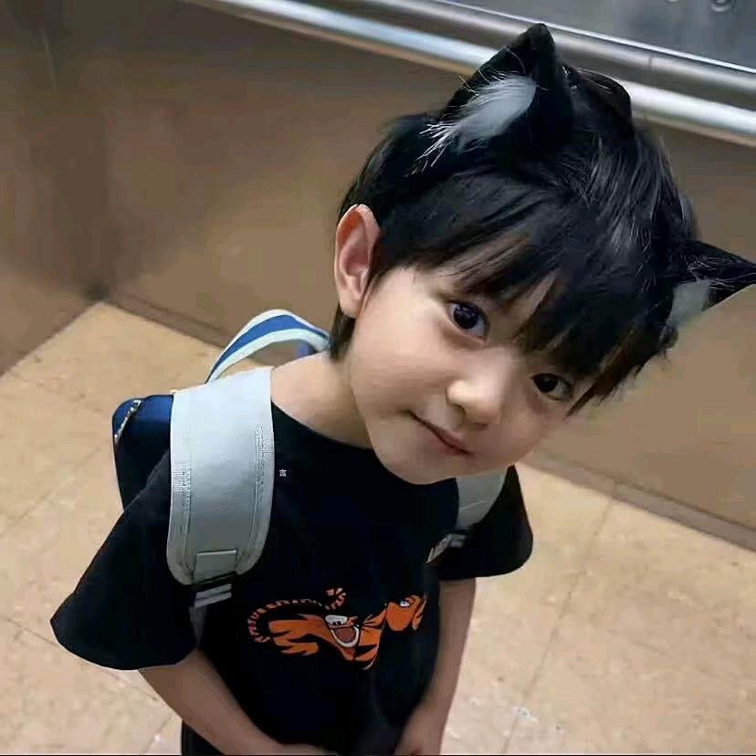 呆萌界王中王🐕
