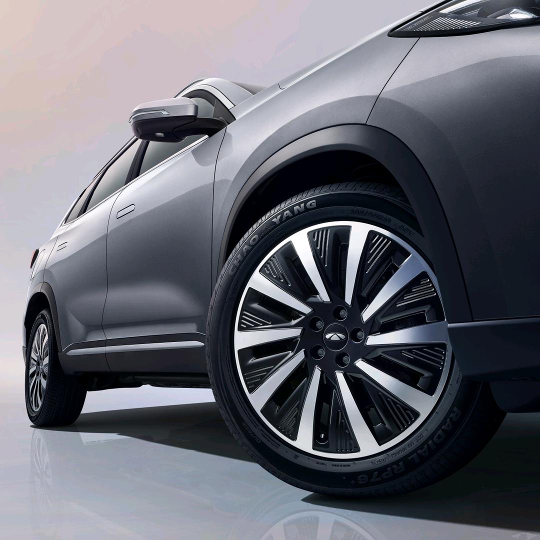 雍记灵动奇瑞风云新能源于婷