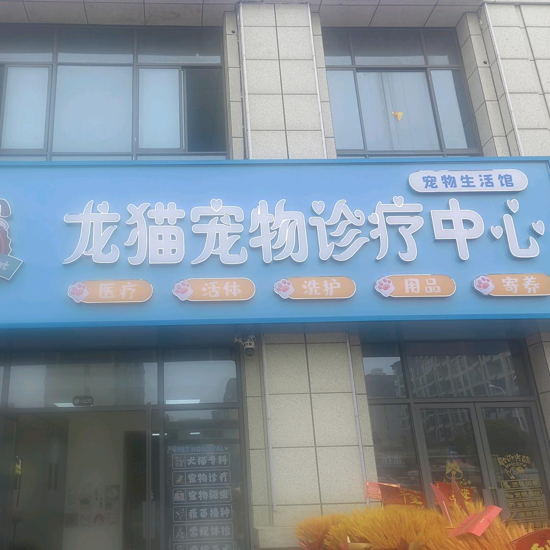 郑蒲港龙猫宠物