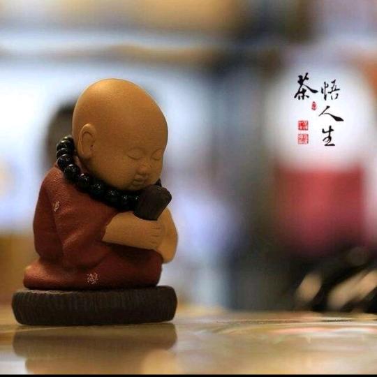 与子偕老✨&☞✨