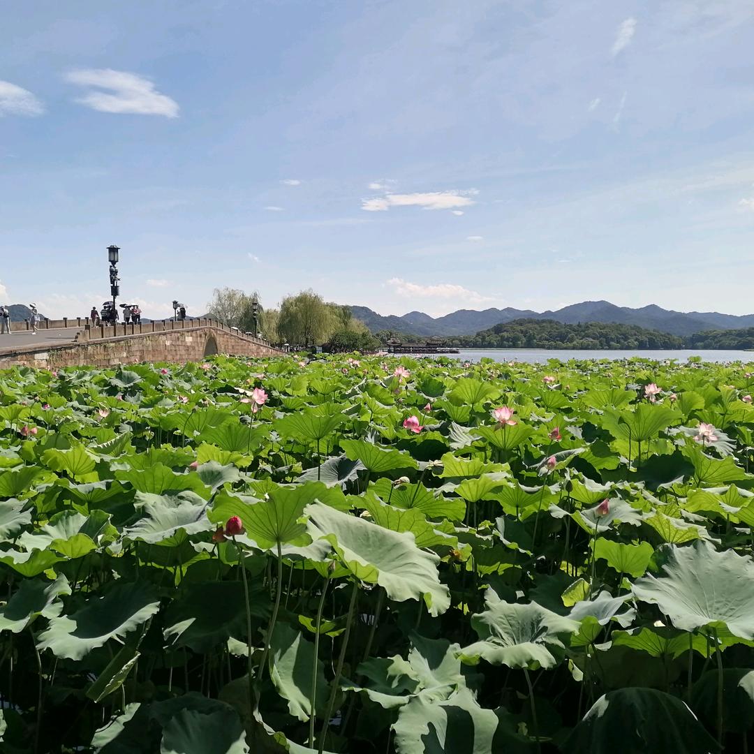 小小