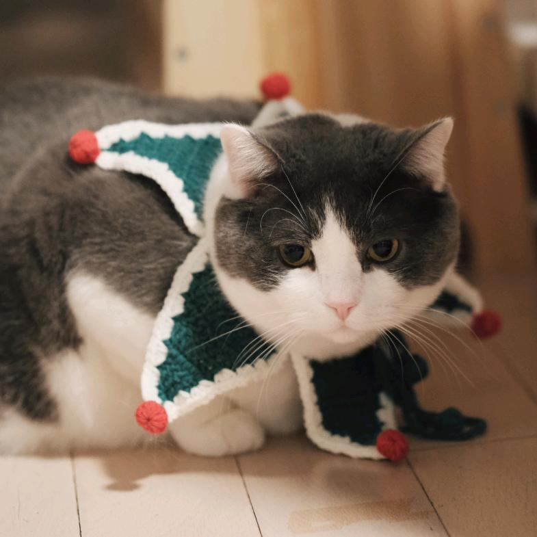 坐在w尖尖上的孩纸