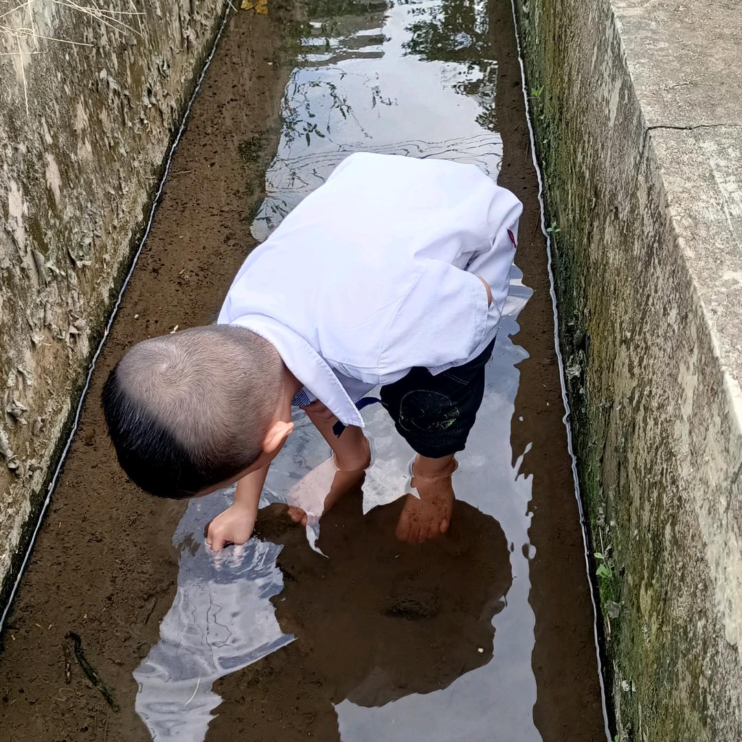 凉小姐