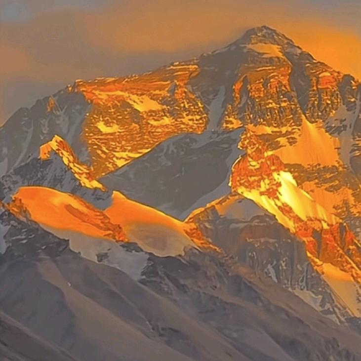 ᙏ̤̫͚ 困于枷锁( ´◔ ‸◔`)