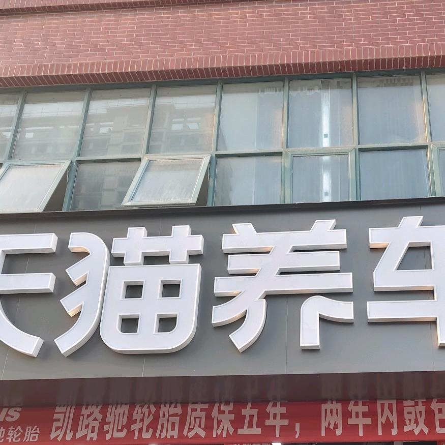 天猫养车小白