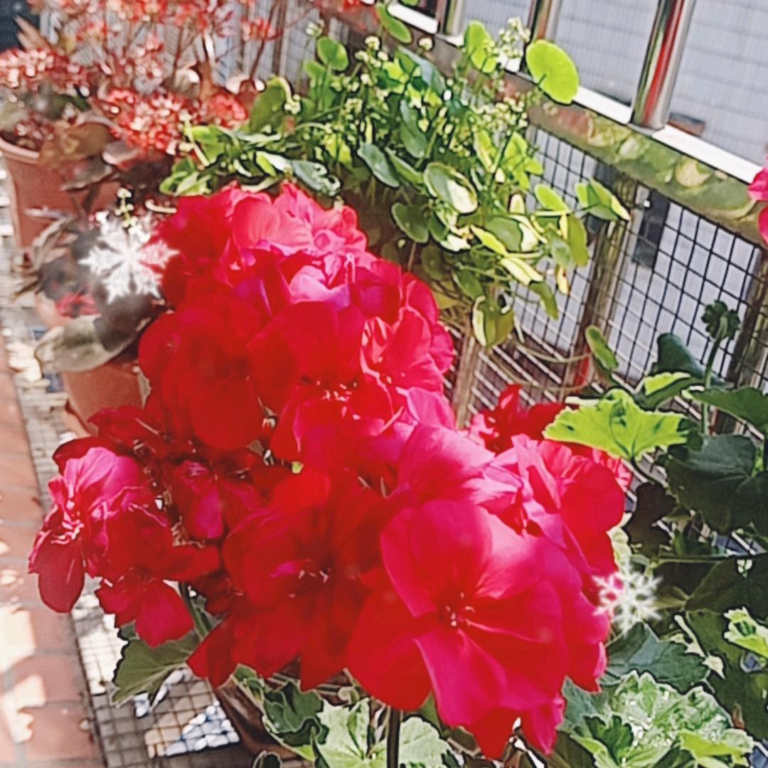 七色彩虹