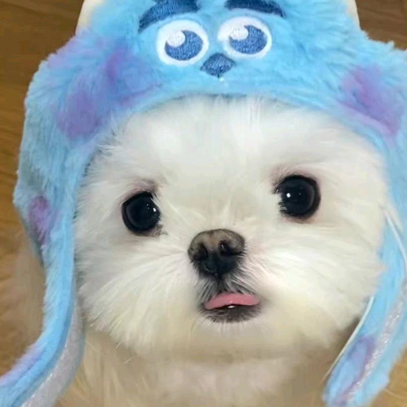 卷花子