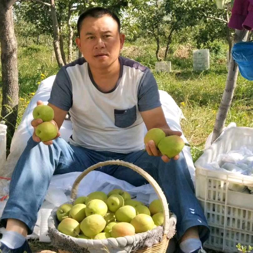 波哥香梨园散养藏香猪，（1）