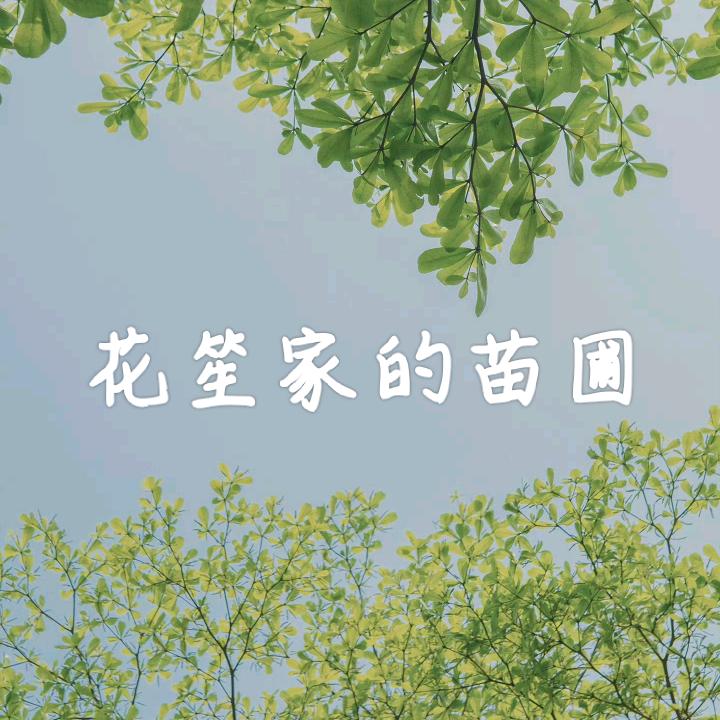 花笙家的苗圃