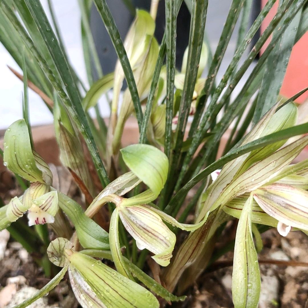 平安健康就是幸福