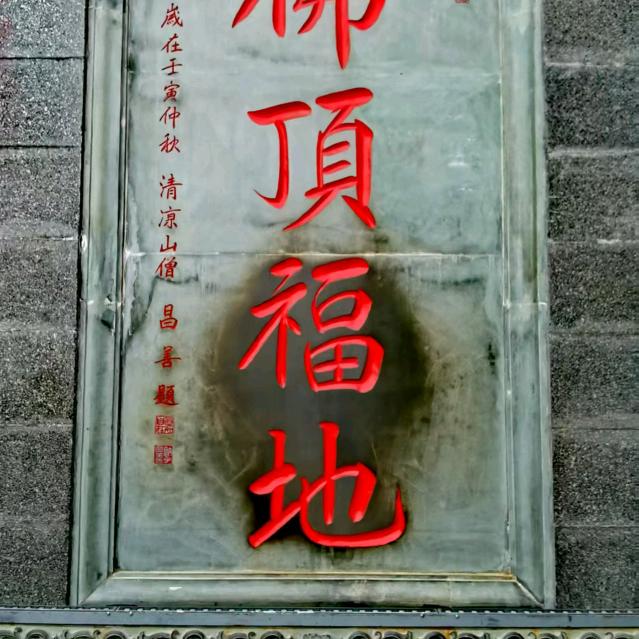 龙哥