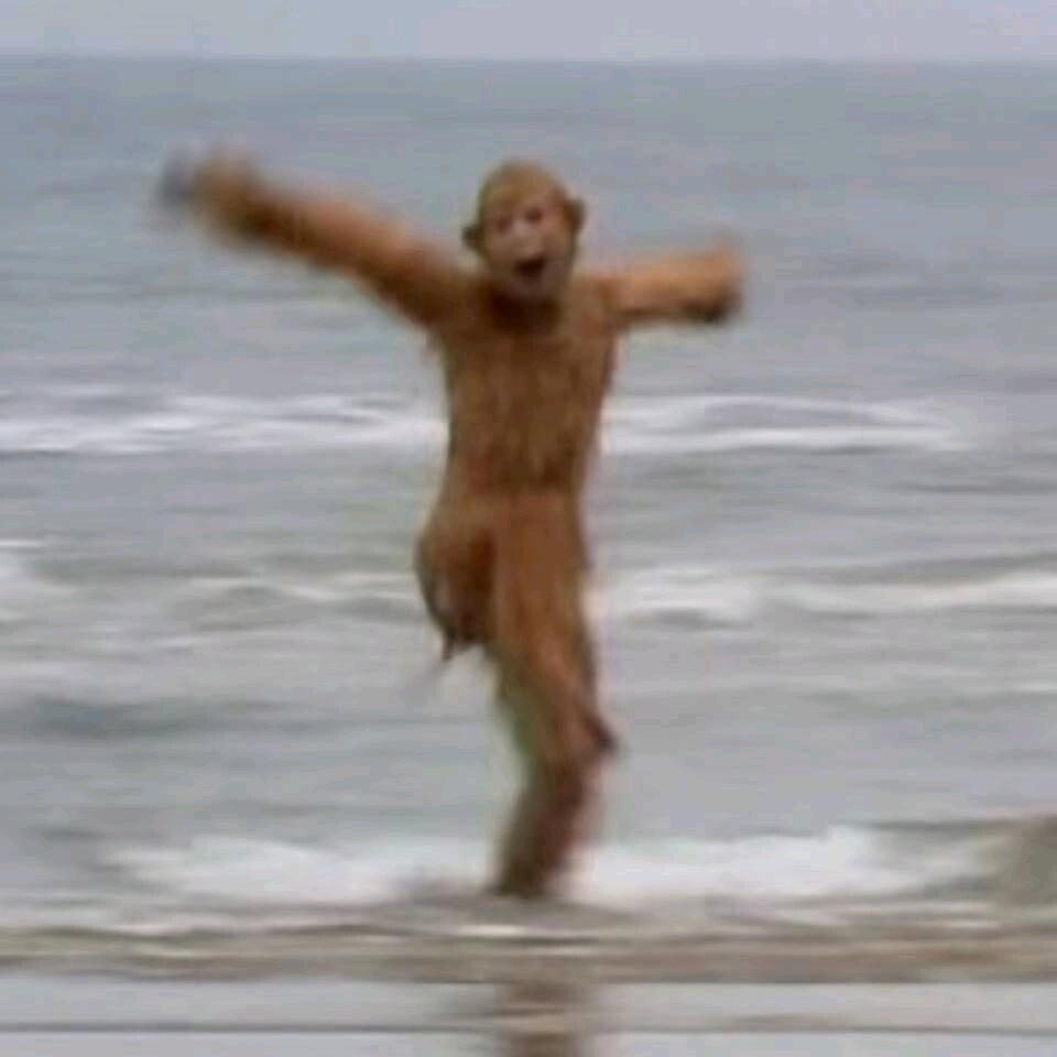 花果山在逃猴王