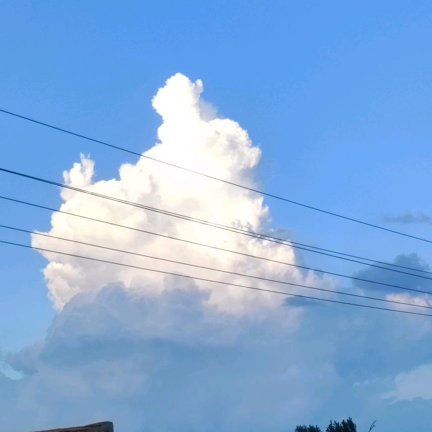 董 董