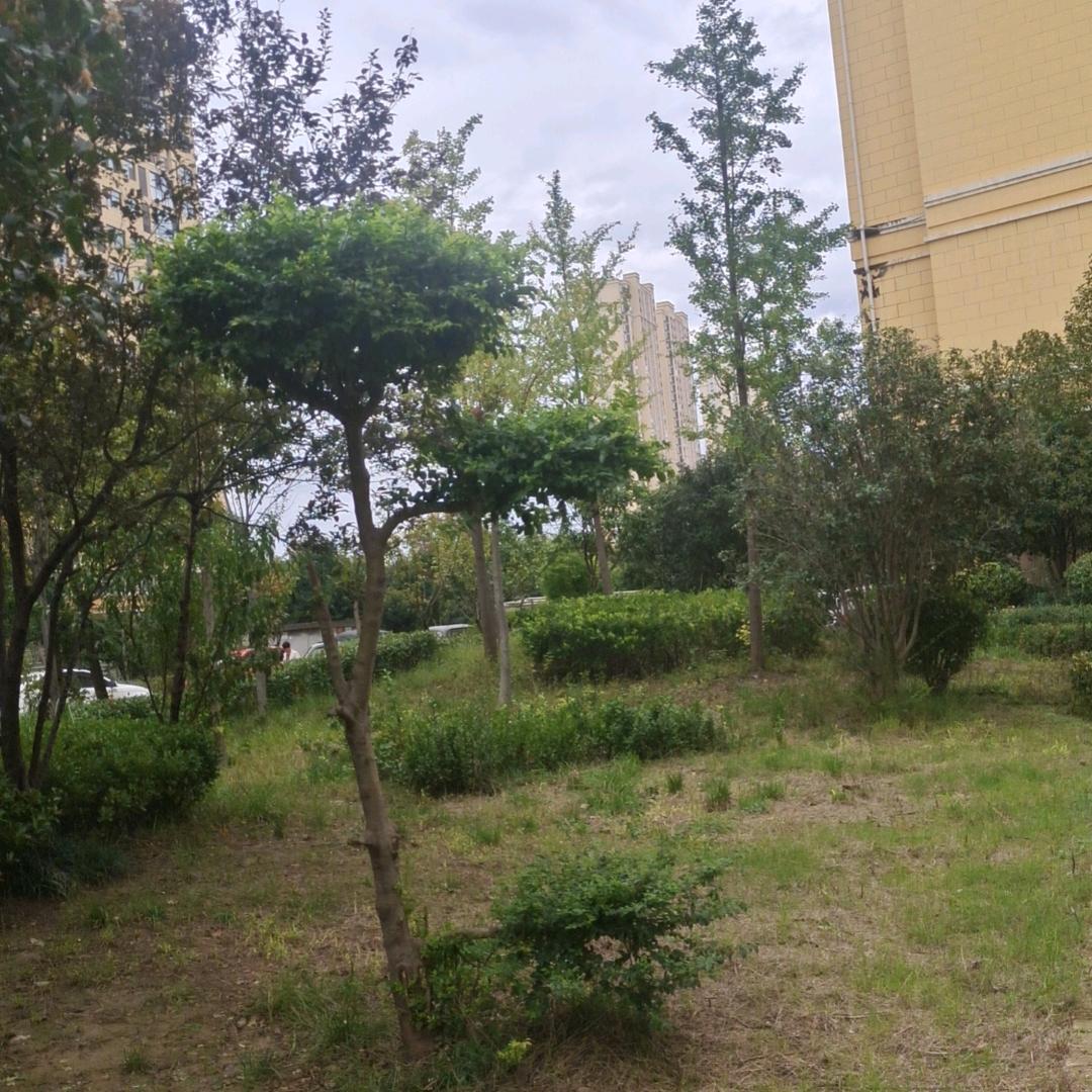 请你记住我们的曾经
