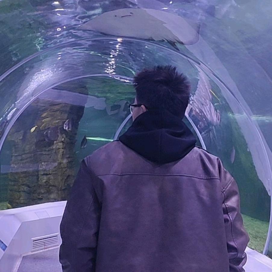 梵梵爬馆
