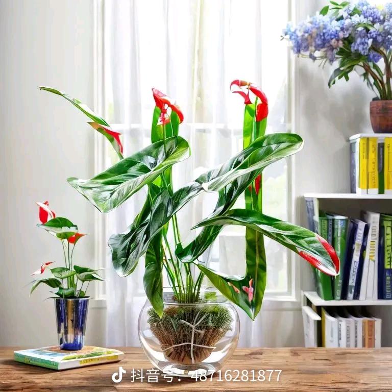 ℳღ美好💞人生ꦿ࿐