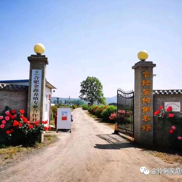 金伶俐农场傅二哥