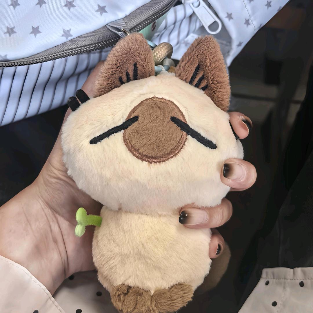 深山老猫