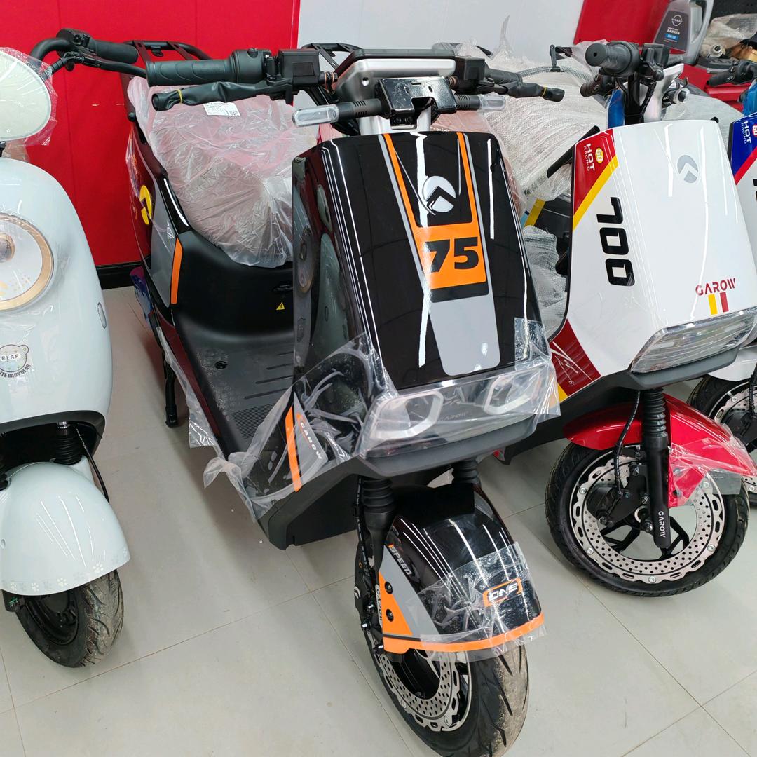 金箭电动车(电动车城店)