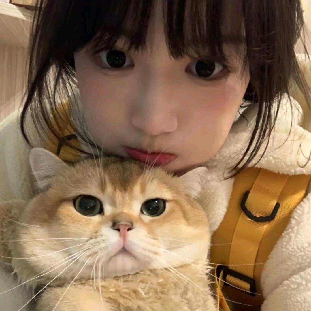 ໒꒰ྀིっ˕ -｡꒱ྀི১