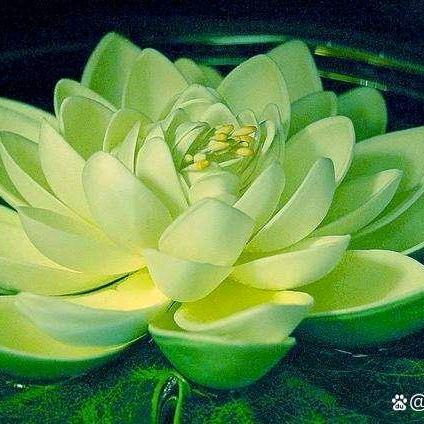 天赐鸿福