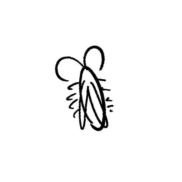 冬
