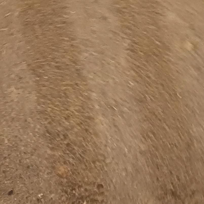 ########。！###