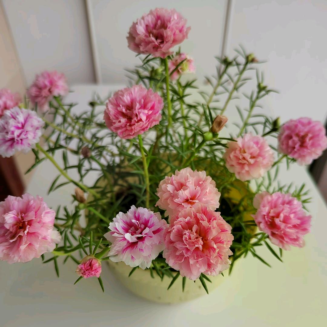 一意孤行