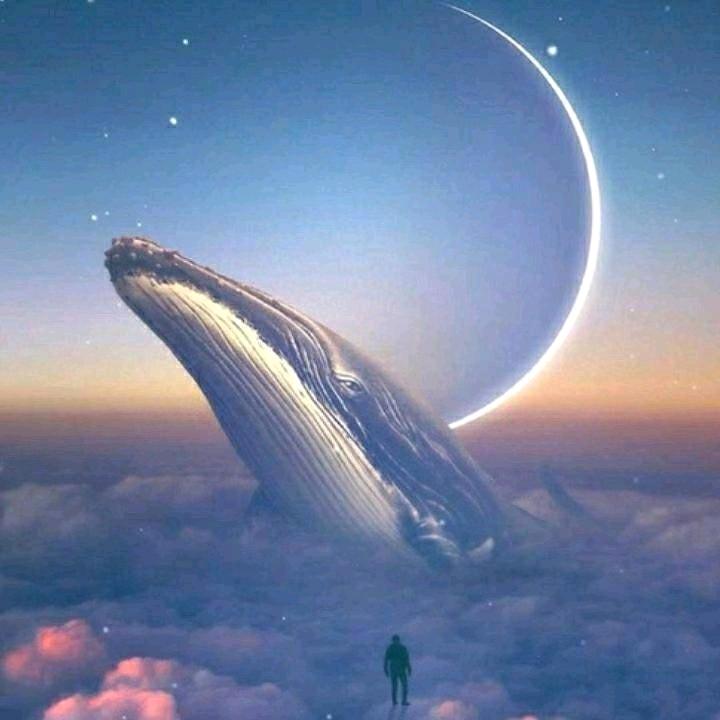 沧浪客