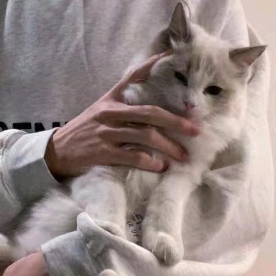鹤炎炎🐧