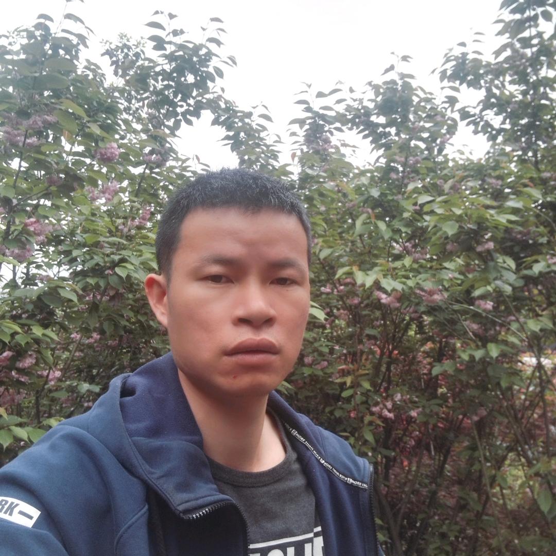 gu辉