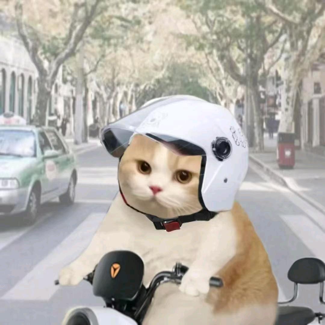 小何才录尖尖角