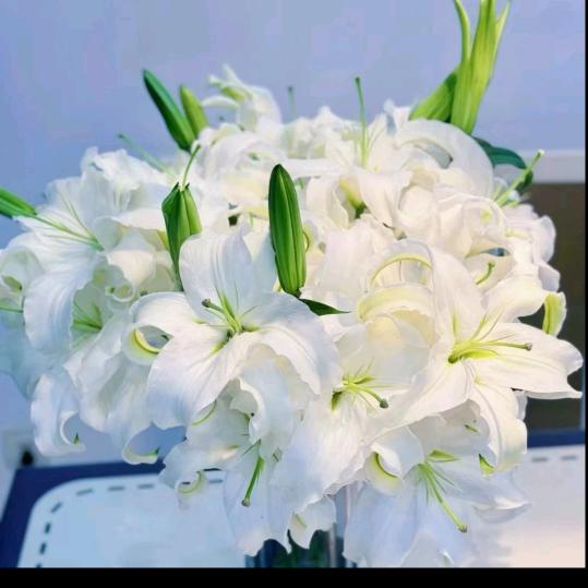 心❤念