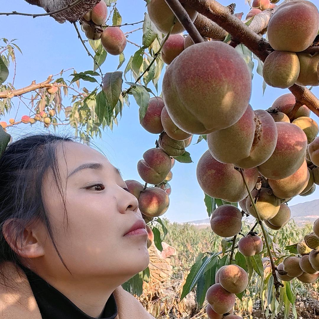 梦想