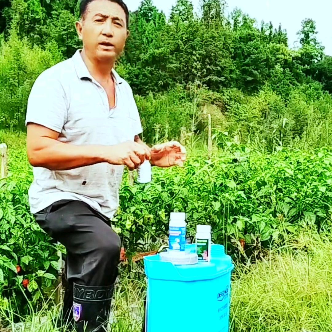 腾冲王农资