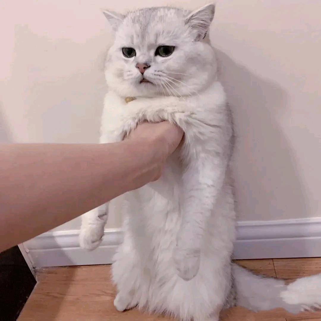 亿百