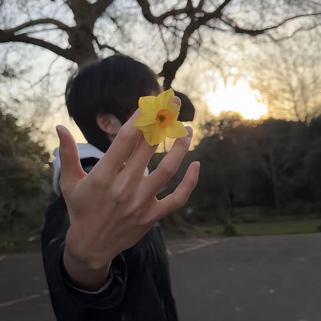 糖炒板栗🌰