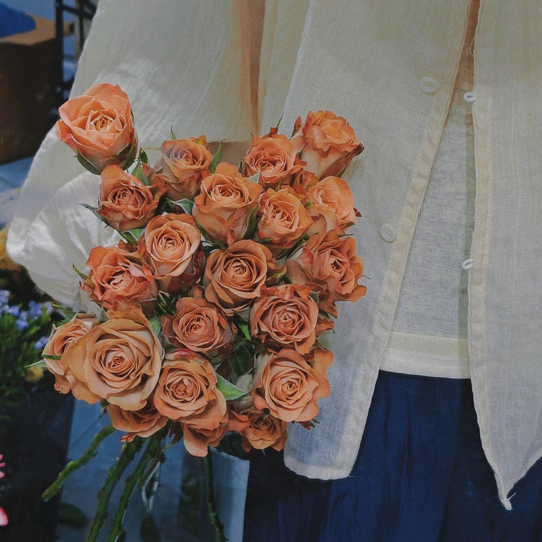 教物理的小李👩‍🏫