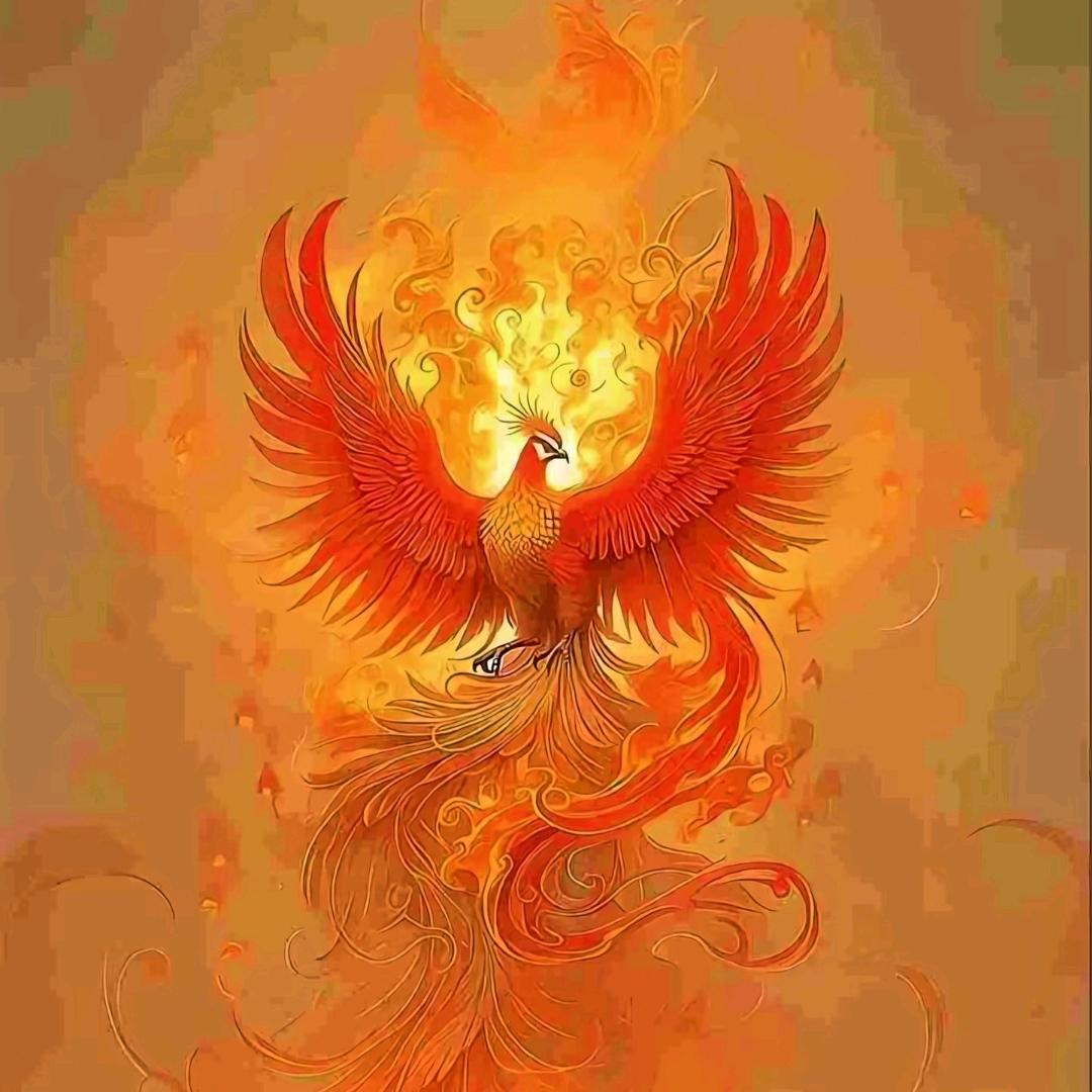 泰州小七高端家政小七）