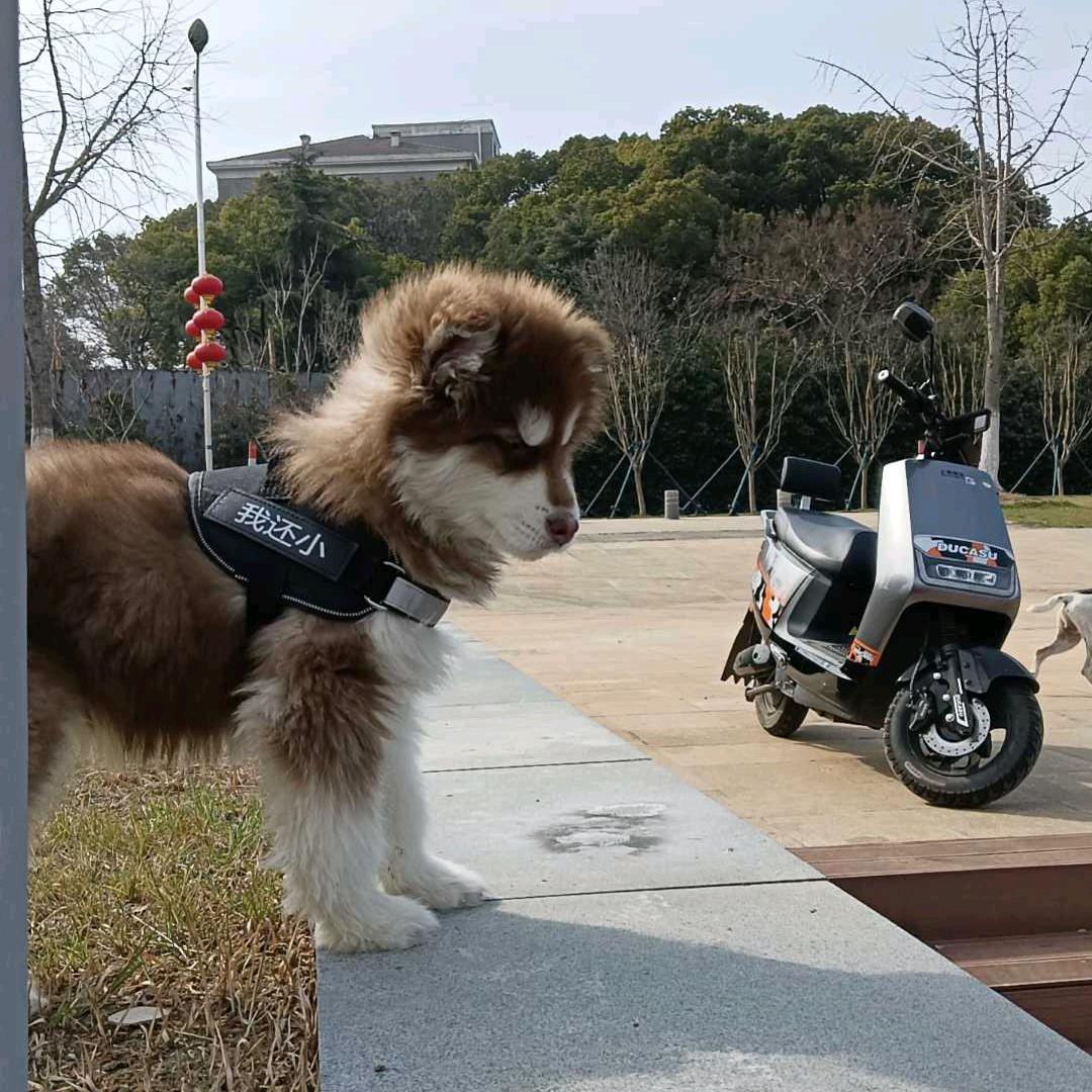 。。。。。。