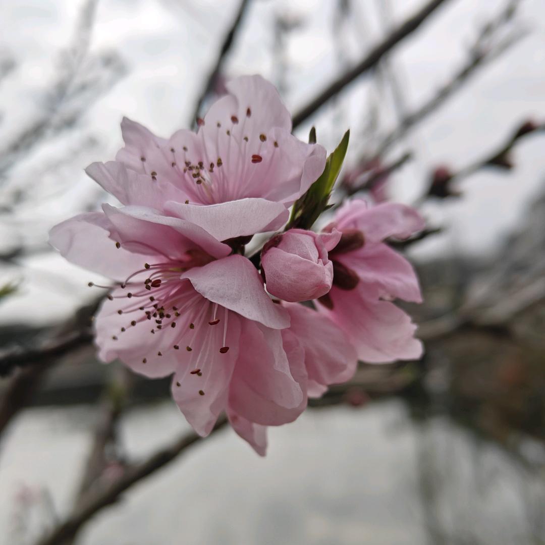 雾非雾丶╮の迷惘