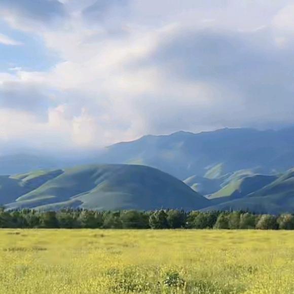 蜗牛带我去散步