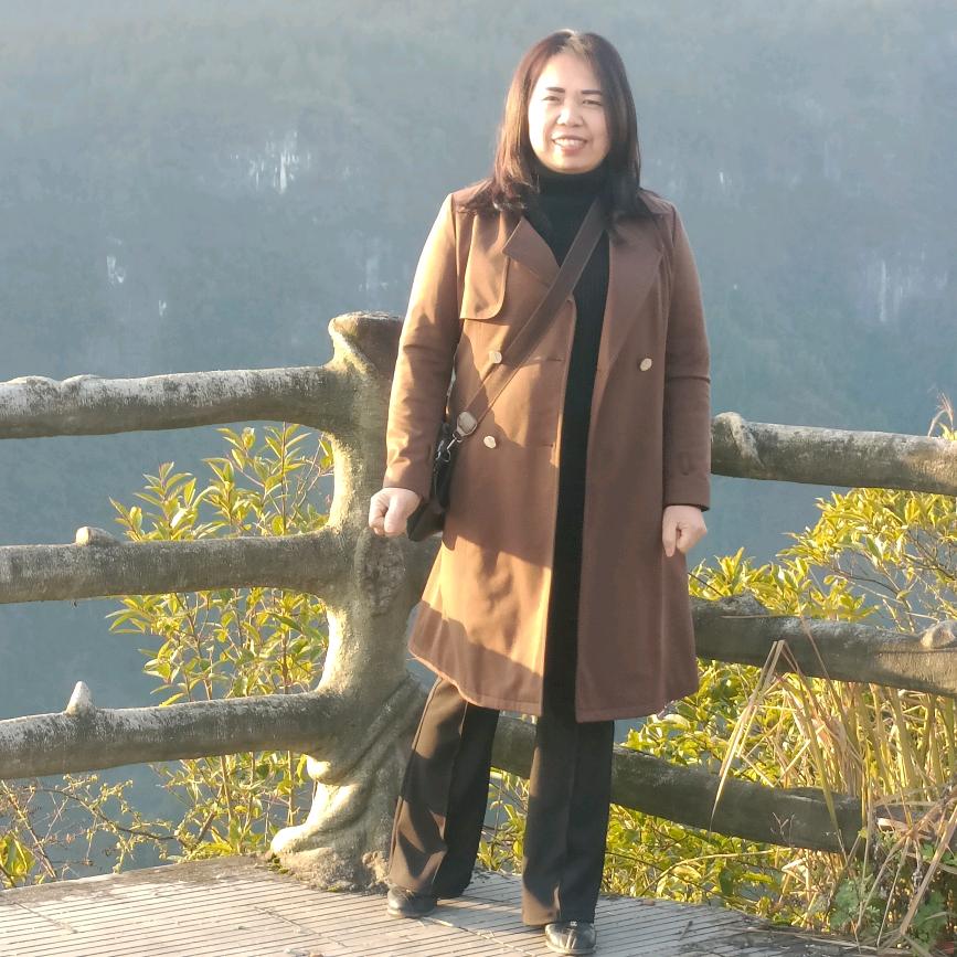 贵苗酸地摊火锅