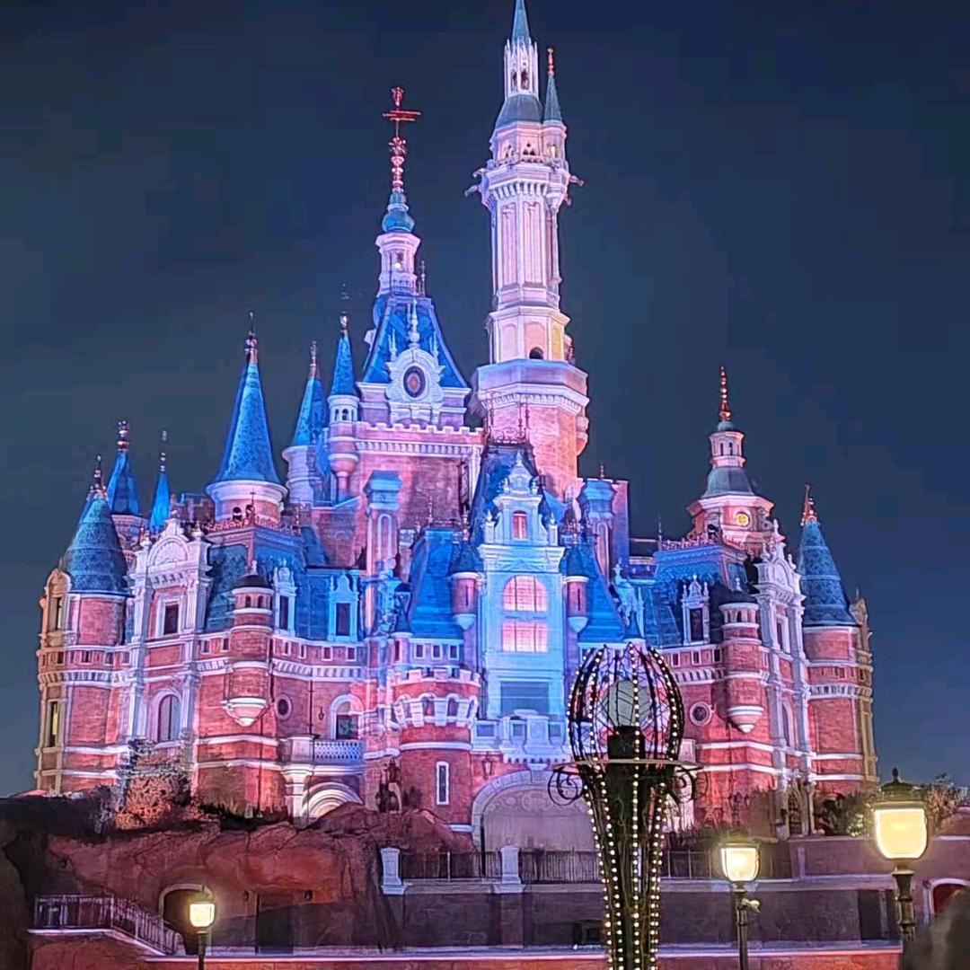 迪士尼带玩小张