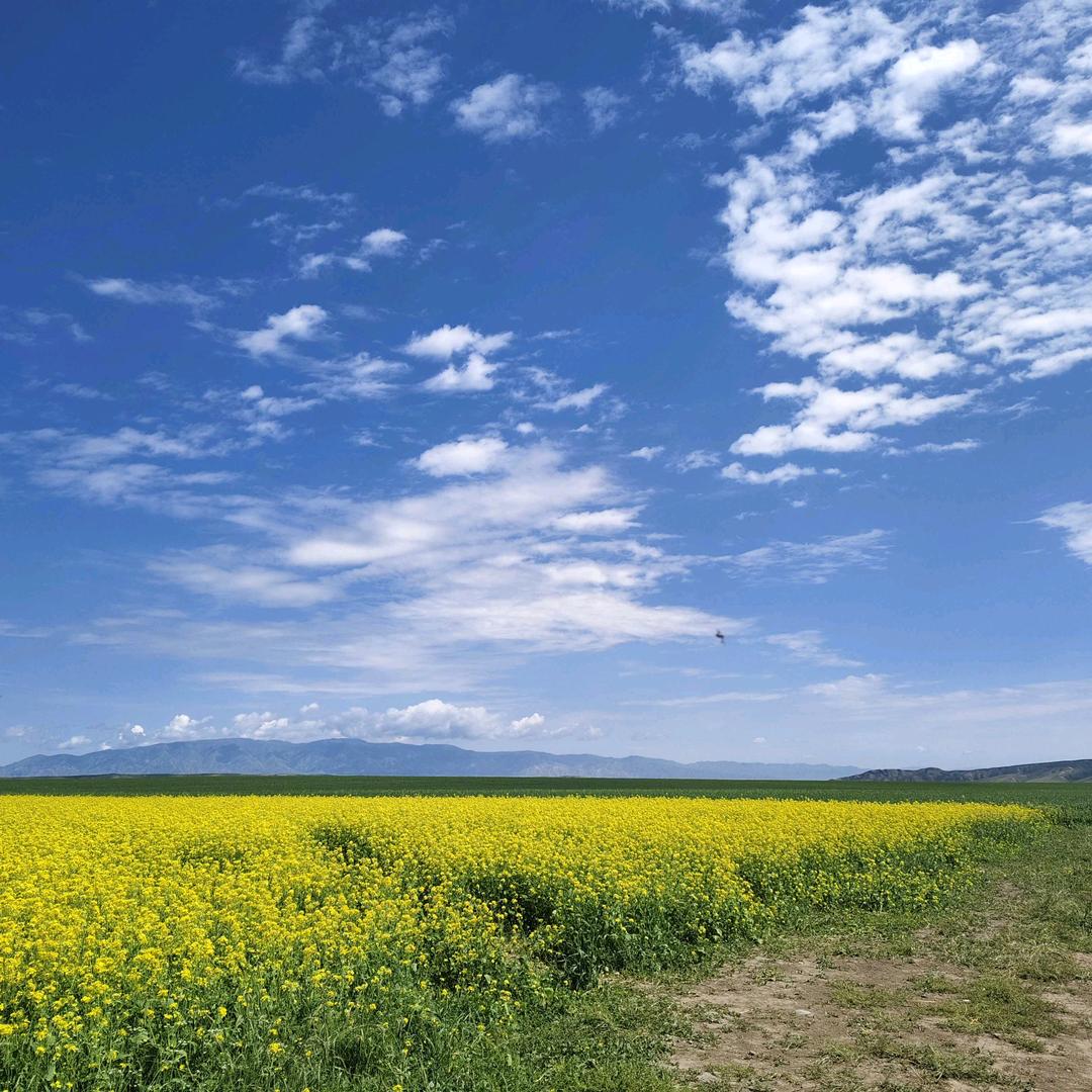 陈心💞如意🌾