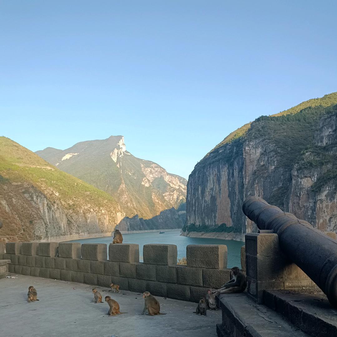 野渡无人