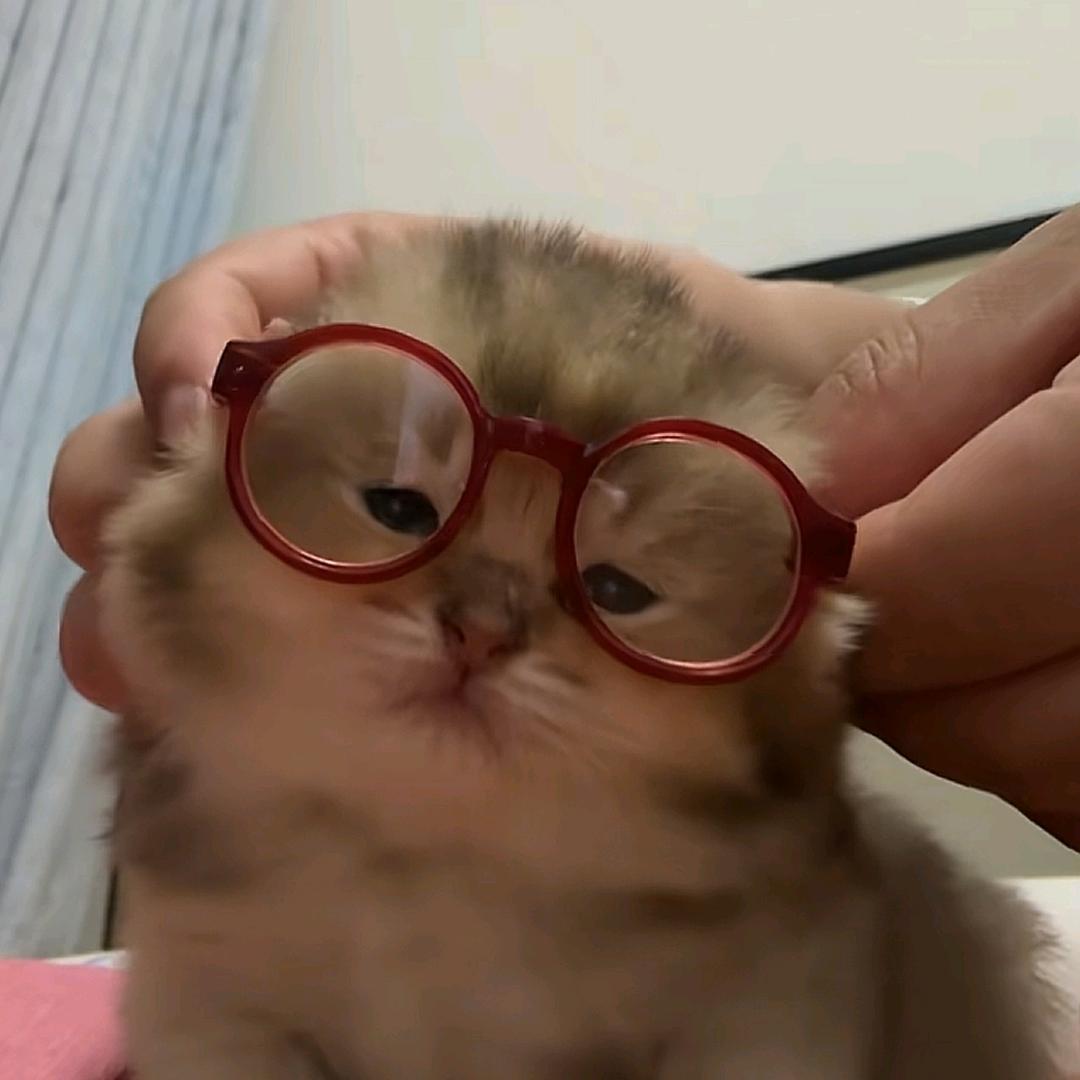H歪歪