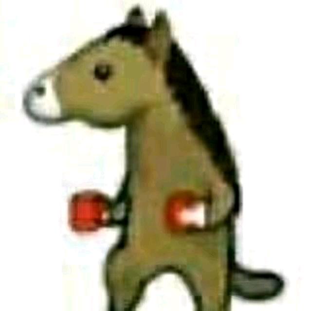 抢九我C