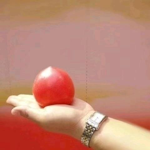 为梦想而来